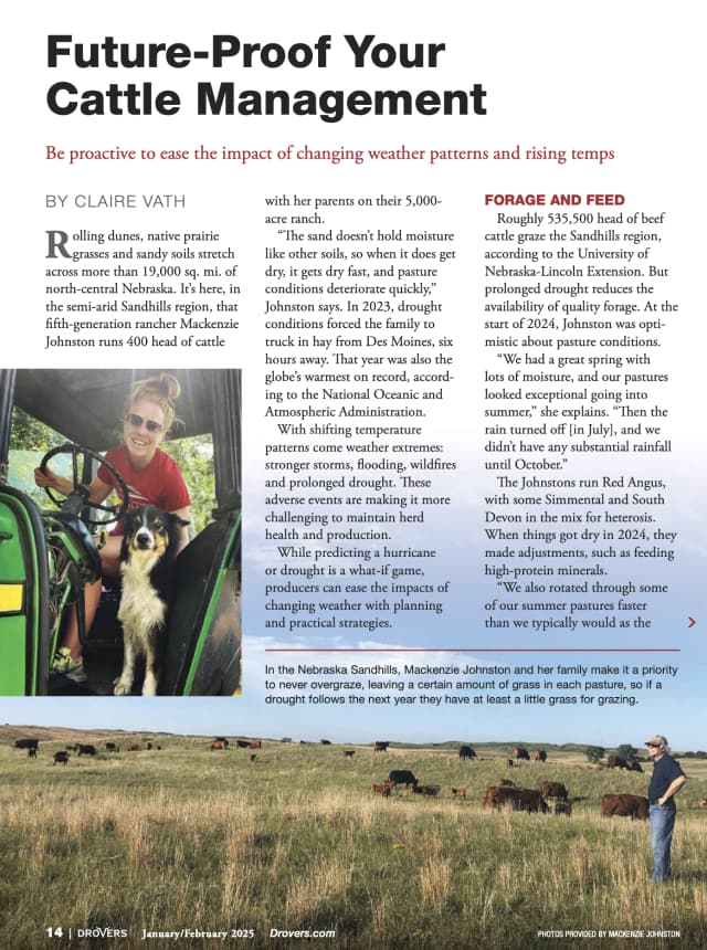 thumbnail of portfolio item